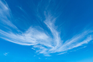 Fototapeta na wymiar The swaying clouds in the sky