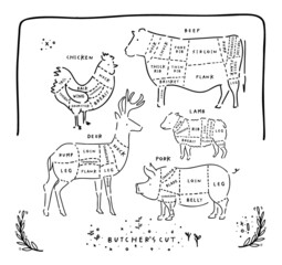 Cooking - meat cut parts, butcher guide to different parts of farm animals 