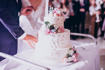 Wedding couple cutting their wedding cake