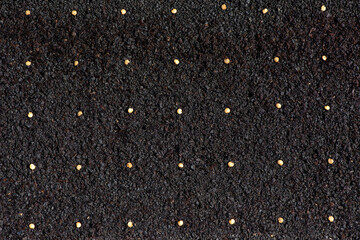 pepper seeds precisely planted in straight rows on fertile soil