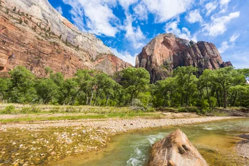 Poster Panorama of Zion © Fyle