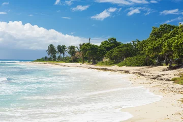 Foto op Plexiglas Raisins Clairs beach in Saint Francois in Guadeloupe © Fyle