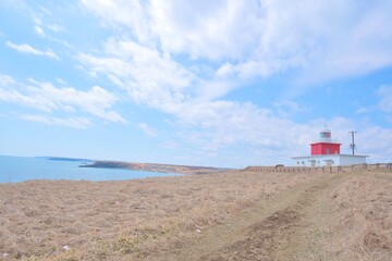 Fototapeta na wymiar 北海道の霧多布岬