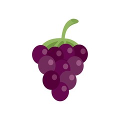 Grapes icon flat isolated vector