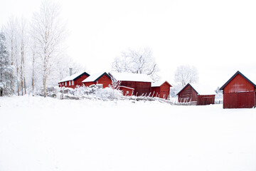 Farm barn and house in a cold winter landscape with snow and frost