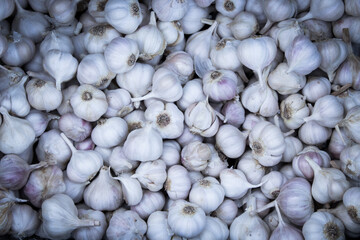 Pile of fresh raw healthy garlic filling the screen