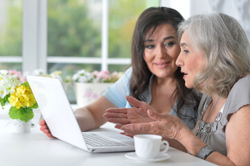 Portrait of two mature women using laptop