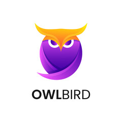 Owl colorful Design concept Illustration logo vector.
