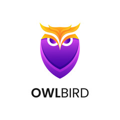 Owl colorful Design concept Illustration logo vector.
