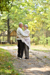 Fototapeta premium Portrait of old couple walking in autumn forest