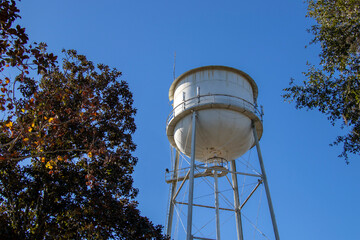 Buzzards roost on a municipal water tower rising against a clear blue sky between oak and magnolia...