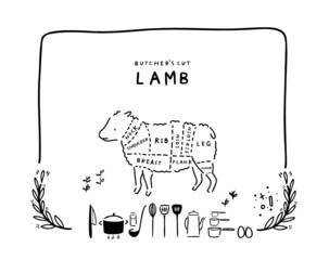 Cooking - meat cut parts - butcher guide to different parts of farm animals. "Butcher's Cut Lamb" + Cooking tool household, utensil kitchenware illustration - Branding Element, recipe book and menu 
