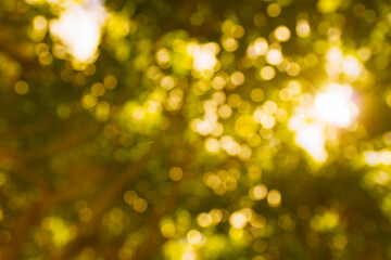 Obraz premium Abstract natural bokeh background, blurred bokeh