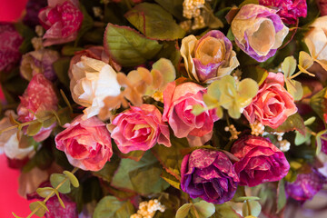 softness of fabric roses