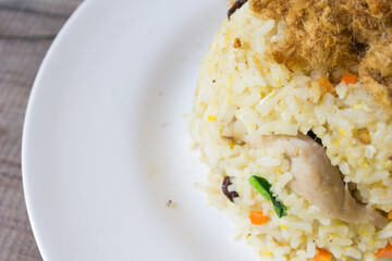 Fried rice with dried shredded pork on white dish