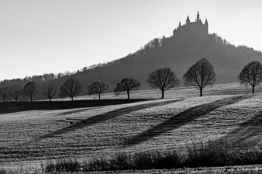 Hohenzollern Castle silhouette on a hill in Swabia Germany near Hechingen south of Stuttgart on sunny day, black and white contrast greyscale. Panoramic view with trees in winter scenery. 