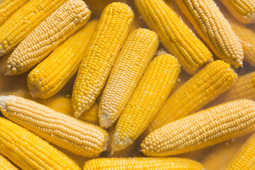 Boiled corn in metal pot at market