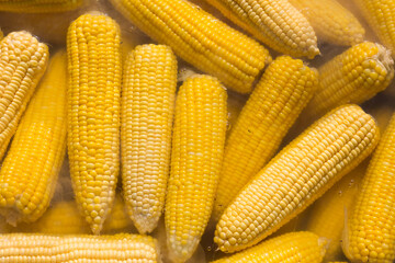 Boiled corn in metal pot at market