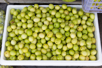 Monkey apple in the market at Nakhonratchasima, Thailand