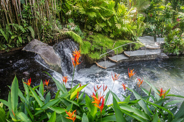 The  hot river at Tabacon Hot Springs, La Fortuna, Costa Rica