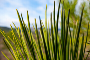 Varazze, Parco del Beigua, Liguria