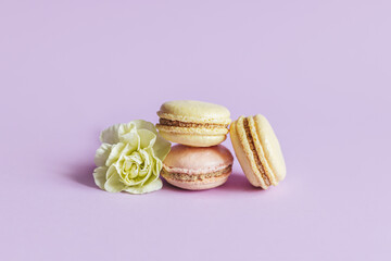Tasty french macaroons with tender flower on a violet pastel background.