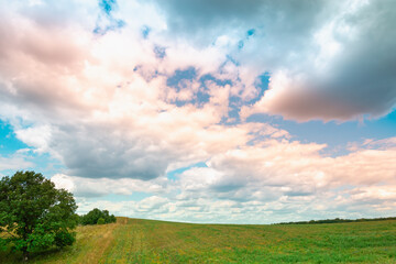 Beautiful nature. Colored clouds and green field with forest.