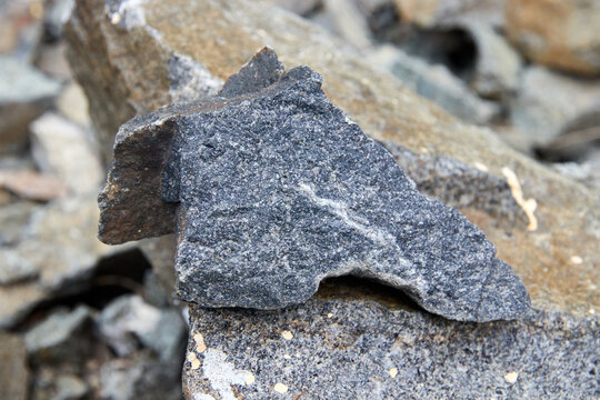 Gabbro Bilder Durchsuchen 4,665 Archivfotos, und