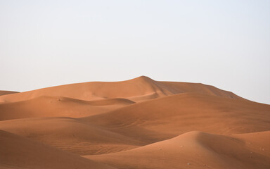 Fototapeta na wymiar Amazing view of sand dunes in the desert of Al Ain, Abu Dhabi, UAE.