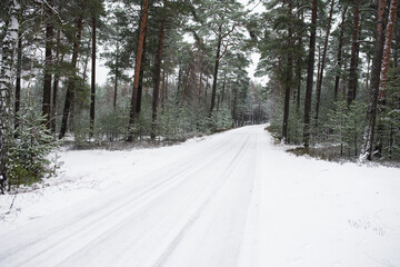 Snowy road in the middle of the forest in winter time. 
