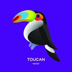 vector isolated cartoon tocan bird 