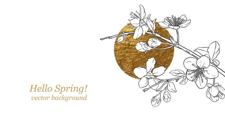 Hand drawn branch of sakura with blooms, flowers, leaves, petals. Golden sircle, sun. Modern line art style.