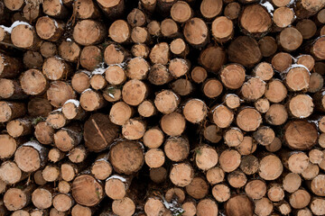 Fototapeta premium Industrial wood stacked, ready for transport.