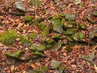 KODAK Digital Still Camera