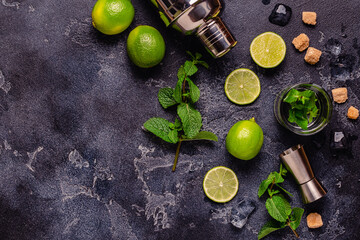 Fresh tasty ingrediens for delicious mojito cocktail