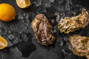 Fresh oysters close-up on ice served with lemon and wine.