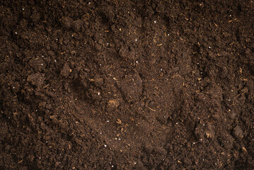 Woman hand trace on a ground.