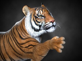 Fototapeta na wymiar Tiger close-up. 3d illustration