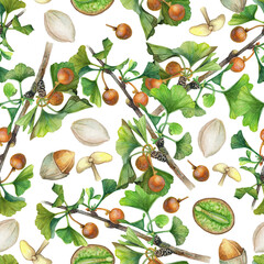 Seamless watercolor pattern with different parts of the Ginkgo biloba plant on a white background