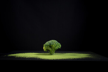 Florete de brócoli fresco en polvo de té verde. Paisaje hecho con comida, árboles de brócoli...