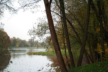 morning on the river