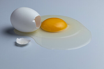 egg on white background