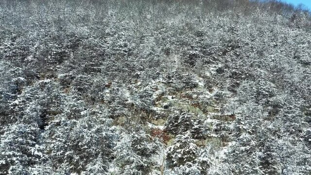 Snow Covered Tree Filled Hillside in Wisconsin (Drone - Pull Back