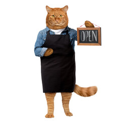 Ginger cat worker holding a sign open .Isolated on white.
