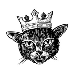 Cat head with crown. Vintage vector black engraving