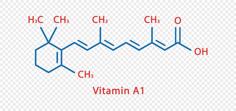 Vitamin A1 chemical formula. Vitamin A1 structural chemical formula isolated on transparent background.