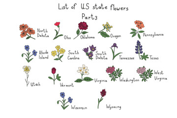 US state flowers