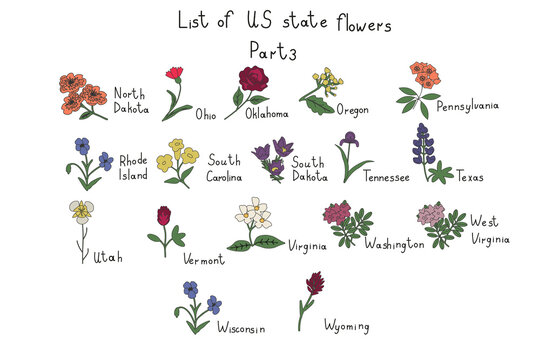 US state flowers