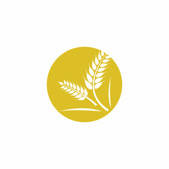 Agriculture wheat vector icon design