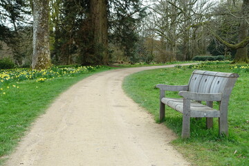 Scenic view of a path and bench in the park